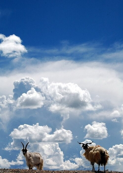 1579761569109021288.jpeg 20120801113627_ytcAM.jpeg